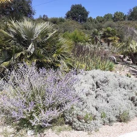 Parc La Carriere