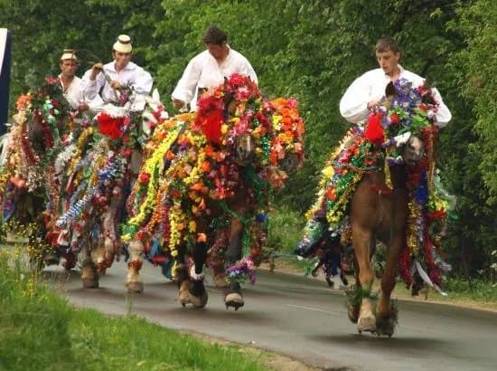 Maramures Tours