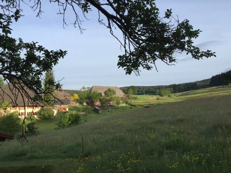 Schwoerer's Haus am Berg