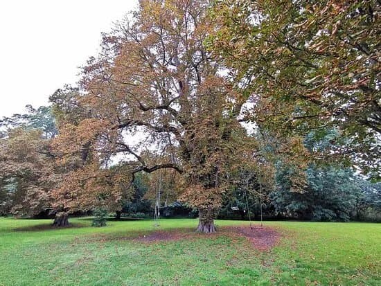 Borgeby Castle