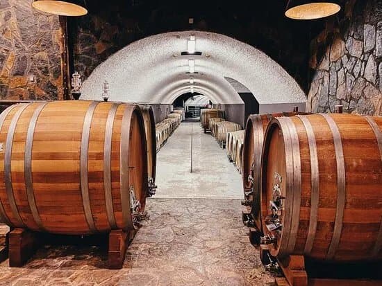 Wine Tasting at Winery Lipovac