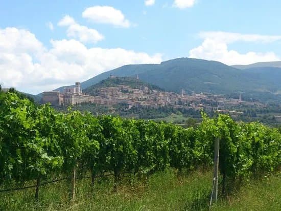 Azienda Agraria Saio