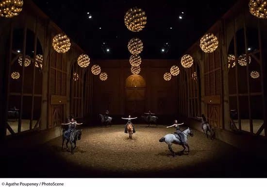 Academie Equestre de Versailles