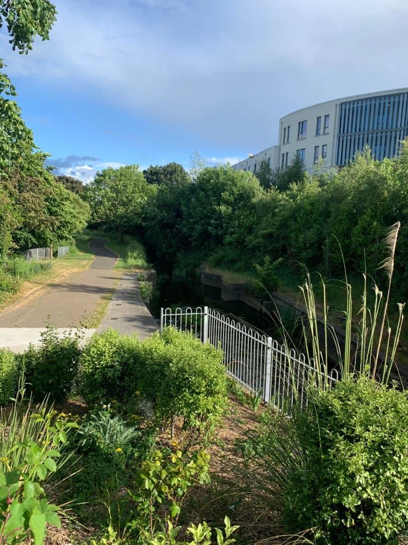Linear Park