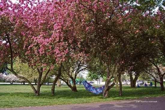 Stadsparken