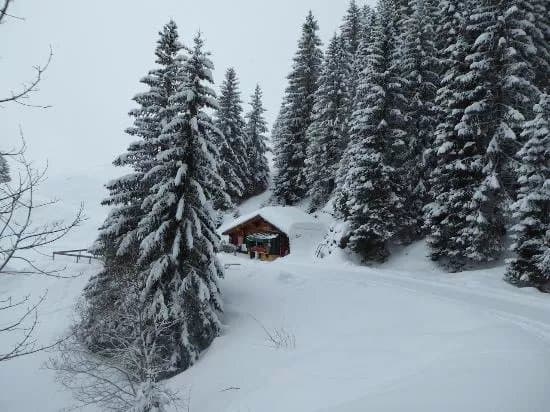 Wanderung Bussalp - Bort
