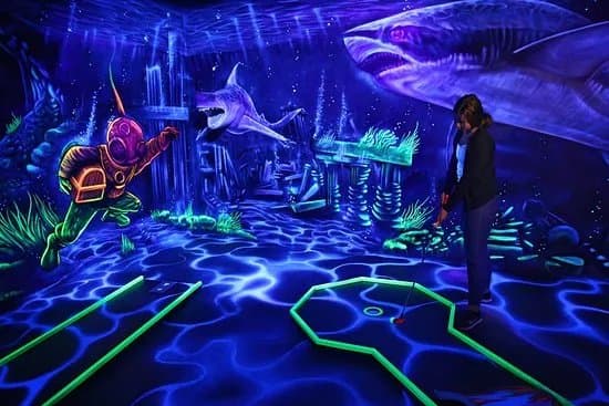 The Evolution-Schwarzlicht Minigolf 4D