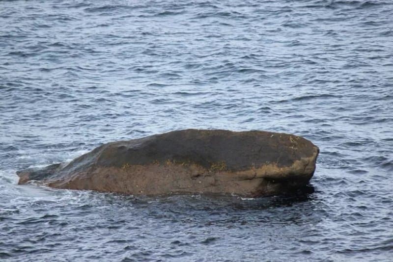Whale Rock
