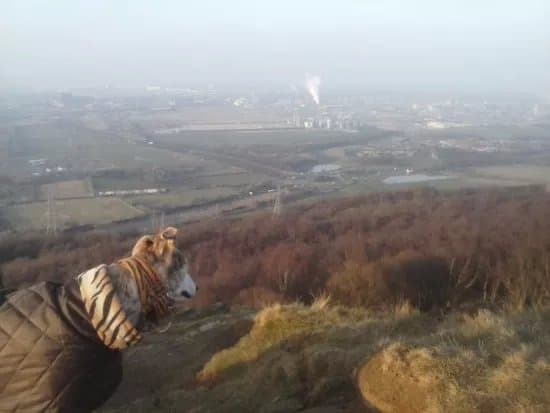 Eston Nab