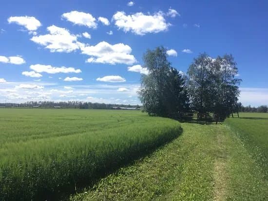 Levaluhta - Iron Age Water burial site