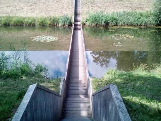 Moses Bridge
