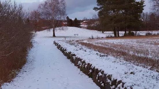 Oseberghaugen Royal Mound