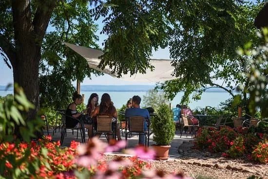Folly Arboretum and Winery