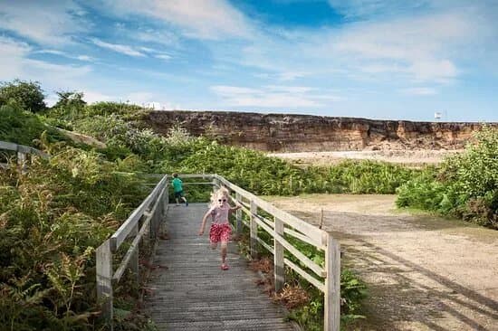RSPB Minsmere