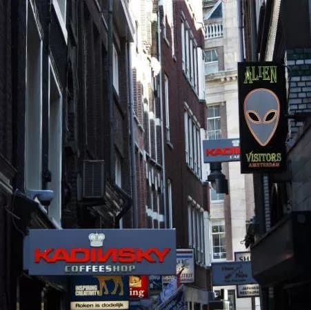 Kadinsky Coffeeshop