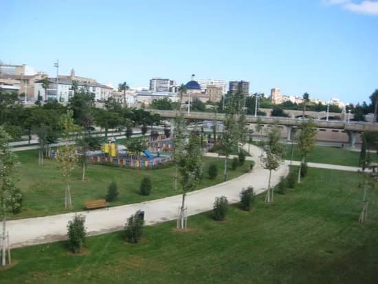 Jardi del Turia