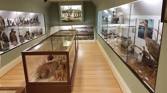 Falsterbo Museum