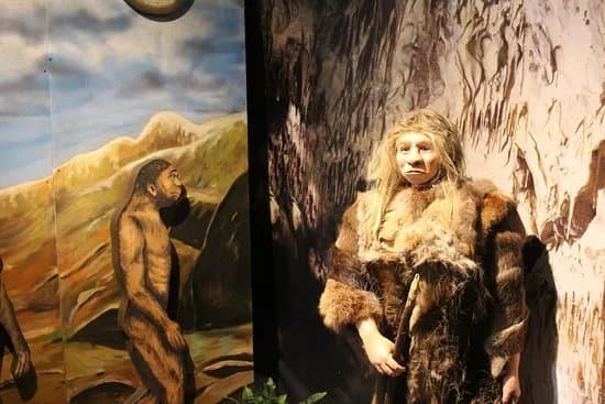 Centrum Neandertalczyka