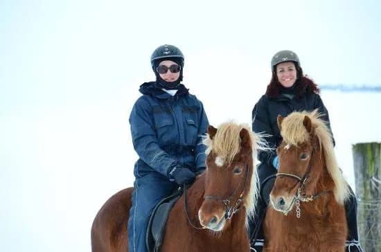 Hestheimar Riding Tours