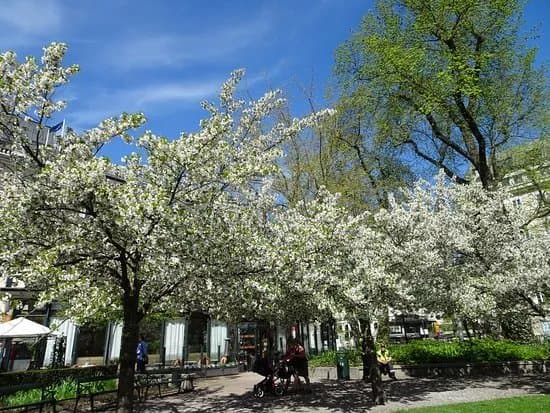 Berzelii Park