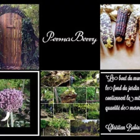 Perma Berry