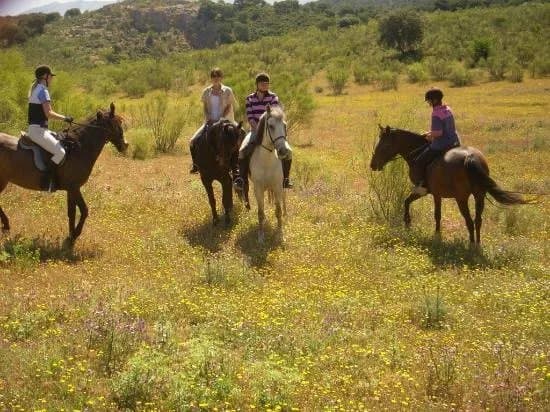 Europe Equitation Horse riding