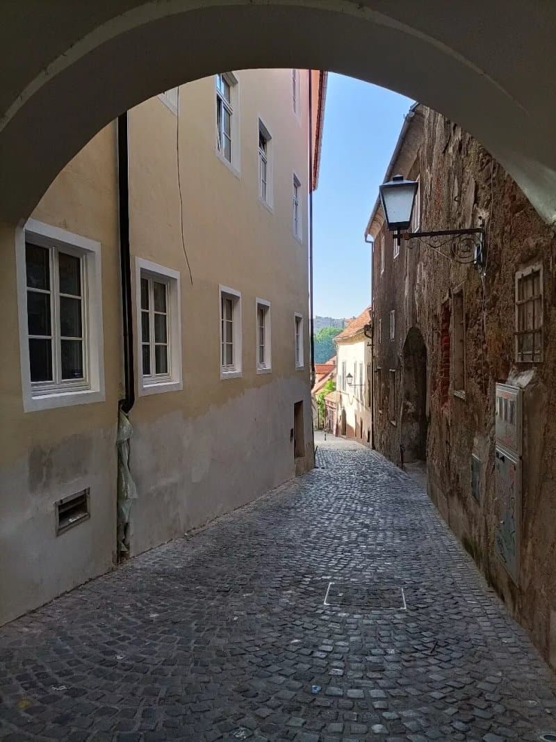 Zicki prehod