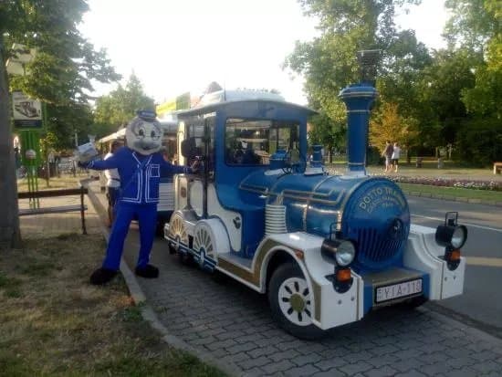 Sightseeing Nostalgia Train