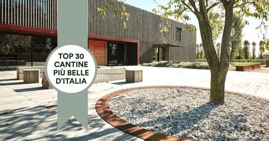 Cantina Pizzolato Societa Benefit - Organic Wine Experience