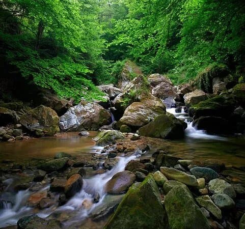 Oplotnica Gorge