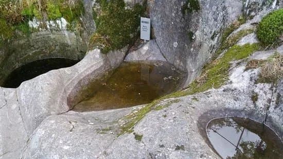 Hiidenkirnut