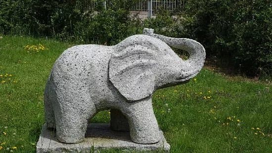 Centre de Geologie - Musee Terrae Genesis