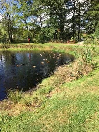 Park Sdr. Anlaeg
