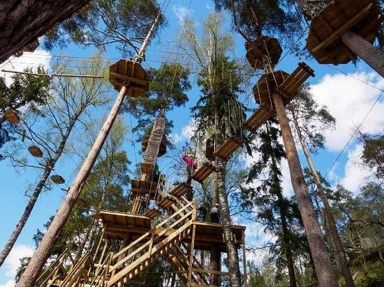 Treetop Adventure Huippu