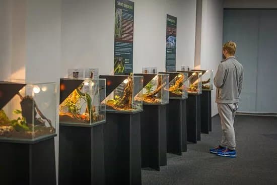 Spiders Exhibition at the Sky Tower Wroclaw
