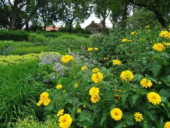 Bloementuin Darwinplantsoen