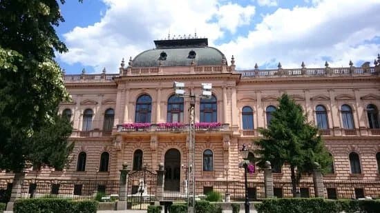 Patriarchy Court