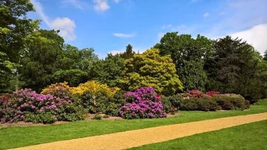 Langley Country Park