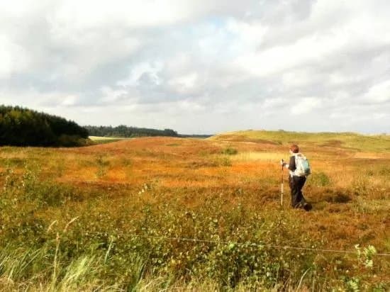 Thy National Park