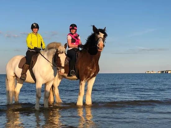 Studland Trekking Centre