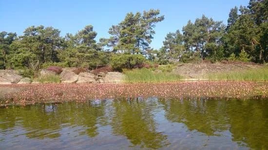 Djuro National Park