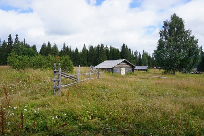 Hanhivittikko Fabod