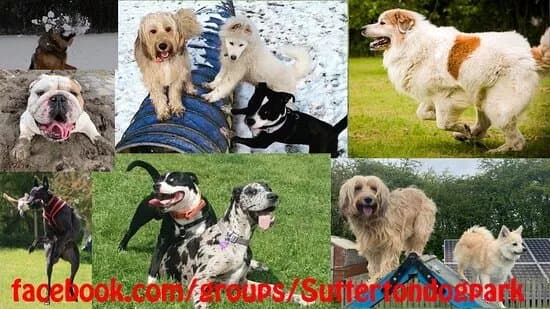 Sutterton Dog Park