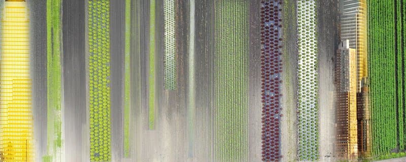 Galerie Lumas Zurich