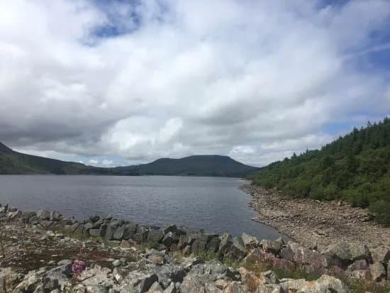 Afon Tryweryn