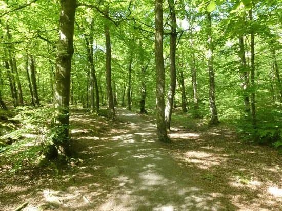 Guddehjalm Naturreservat