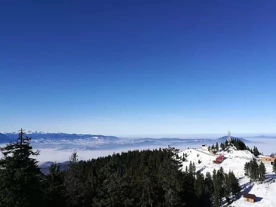 Mountain Postavarul