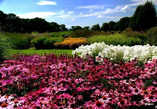 Sussex Prairies Garden
