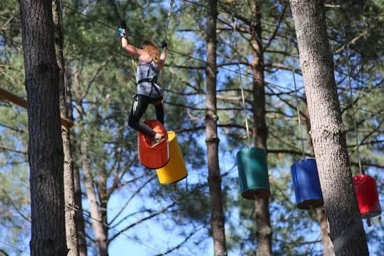 Bassin Aventures