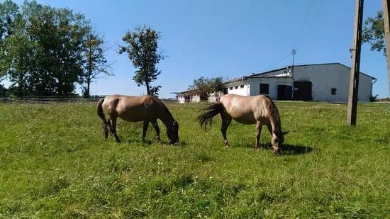 Stacja Badawcza Rolnictwa Ekologicznego i Hodowli Zwierzat